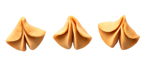 Wonton Isolated on Transparent White Background