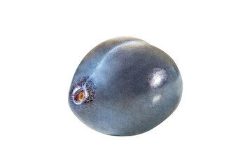 one whole plum isolated on white background with clipping path