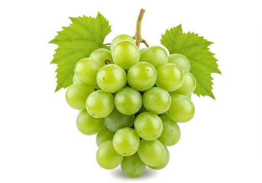 A fresh cluster of green grapes with a vibrant stem and attached leaves isolated on white background