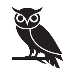 owl on white background