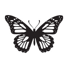 butterfly on white background