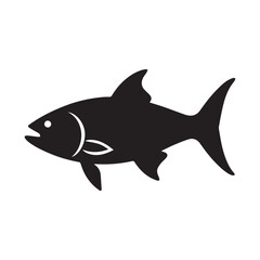 shark illustration