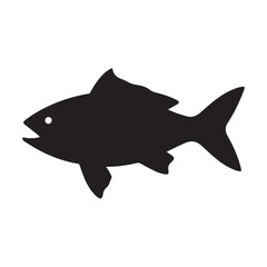 shark isolated on white