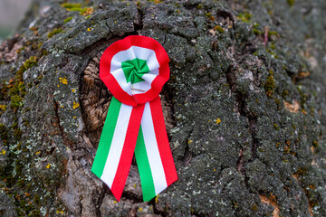 Hungarian tricolor cockade