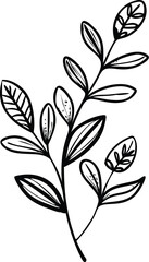 
 Botanic doodle art featuring minimalist Luxury vintage flowers