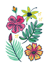 Tropical floral doodle set with hibiscus flowers