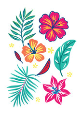 Tropical floral doodle set with hibiscus flowers