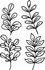 
 Botanic doodle art featuring minimalist Luxury vintage flowers