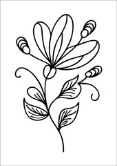 
 Botanic doodle art featuring minimalist Luxury vintage flowers