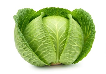 Obraz premium A fresh green cabbage with outer leaves spread open slightly, isolated on a white background