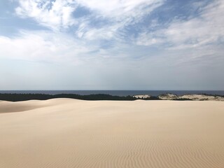 Beautiful view of the desert and the sea. The mesmerizing juxtaposition of sand and water.