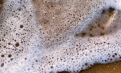 Sea foam on the sand