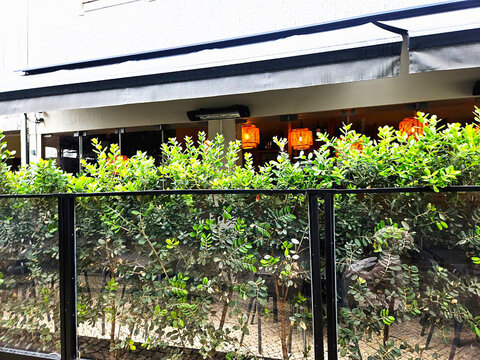 orange lanterns in green bushes