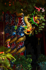 Fototapeta premium red lantern decoration for Chinese New Year Festival at Chinese shrine Ancient chinese art with the Chinese alphabet Blessings written on it Is a Fortune blessing compliment,Is a public place Thailand