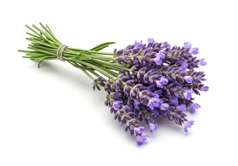 Naklejka premium A small bundle of fresh purple lavender flowers with green stems, isolated on a white background
