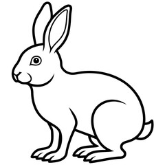 rabbit line art vector