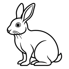 rabbit line art vector