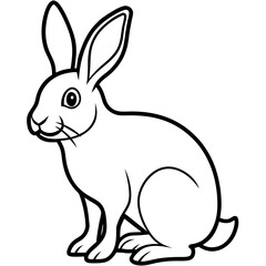 rabbit line art vector