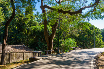Fototapeta premium a public place leisure travel landscape lake views at Ang Kaew Chiang Mai University and Doi Suthep nature forest Mountain views spring cloudy sky background with white cloud.