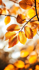 Fototapeta premium Sunny Autumn Leaves with Warm Sunlight and Rich Seasonal Colors up Close : Generative AI