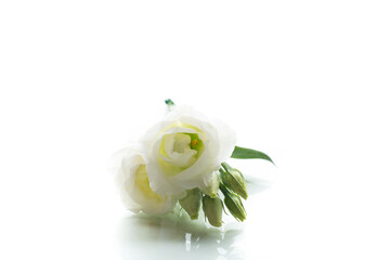 Refined floral arrangement with eustoma