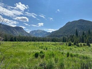 Grand Lake Colorado Hike from Arapahoe Falls