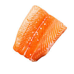 Raw salmon fillet