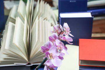 stack of books with orchid, close up. Open book on the table in library. Back to school concept....