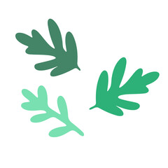 leaves,  A green vine with multiple leaves