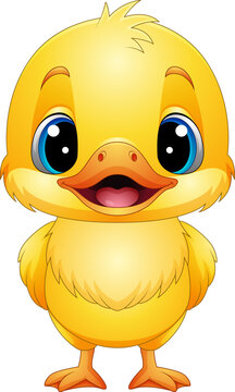 Vector illustration of cartoon cute baby duck