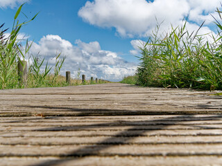 wooden walkway to the sea island of Sylt
