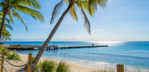 Tropical beach with palm trees and pier. Grand Turk, Turks and Caicos.