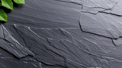 Fresh mint leaves on dark slate background, food recipe backdrop