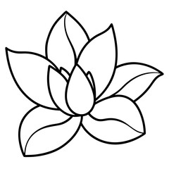 Magnolia flower bold line art vector illustration