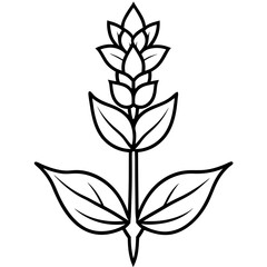 Salvia flower bold line art vector illustration
