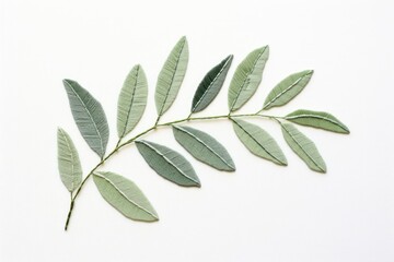 Eucalyptus leaf in embroidery style plant herbs tree