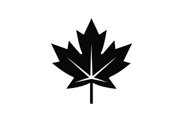 Canadian maple leaf black silhouette vector, maple leaf icon design  