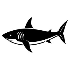 shark silhouette vector illustrator