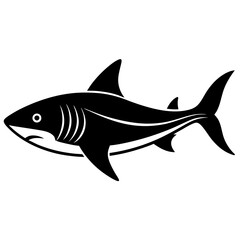 shark silhouette vector illustrator