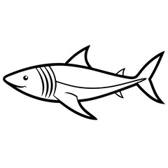 shark line art vector