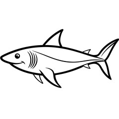 Obraz premium shark line art vector