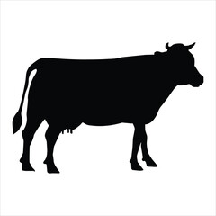 silhouette of a cow
