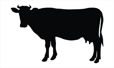 silhouette of a cow