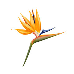 Bird of Paradise Flower, Tropical Bloom, Exotic Floral Art, Illustration