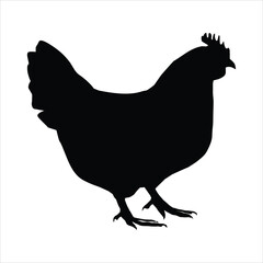 silhouette of a hen