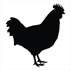 silhouette of a chicken
