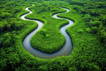 mesmerizing aerial view of winding river cutting through dense green vegetation organic flow resembling abstract brushstrokes