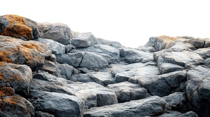 Rocky coastal path, lichen, sunrise, texture, background