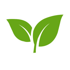 green leaf isolated on white