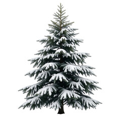 Snow Covered Evergreen Tree, Christmas Tree, Winter Tree